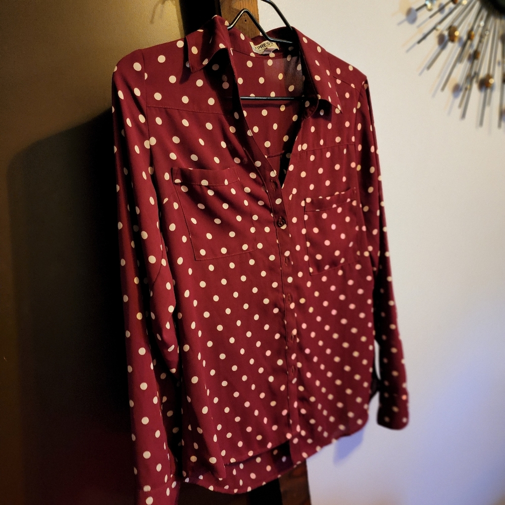 Express Button Down Oxford Long Sleeved Blouse